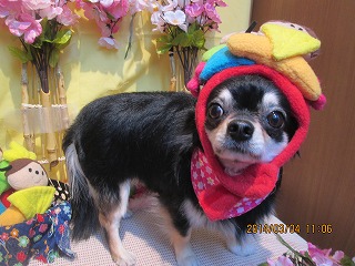 ファイル 7284-2.jpg