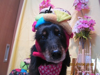 ファイル 7285-2.jpg