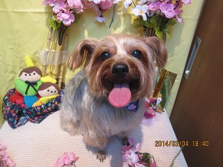 ファイル 7286-1.jpg