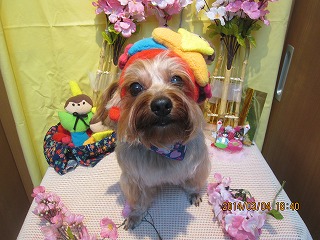 ファイル 7286-2.jpg