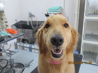 ファイル 7287-1.jpg