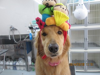 ファイル 7287-2.jpg