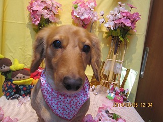 ファイル 7288-1.jpg