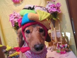 ファイル 7288-2.jpg