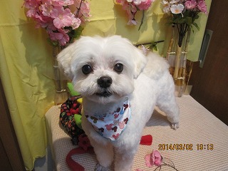 ファイル 7290-2.jpg