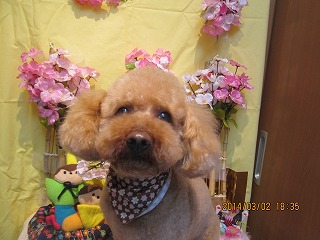 ファイル 7291-1.jpg