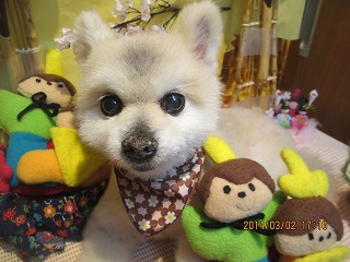 ファイル 7292-1.jpg