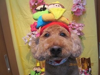 ファイル 7293-1.jpg