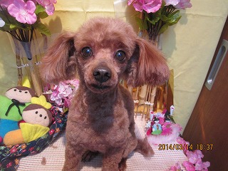 ファイル 7294-1.jpg