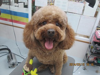 ファイル 7296-1.jpg