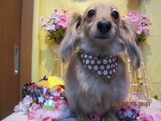 ファイル 7297-2.jpg