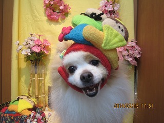 ファイル 7298-2.jpg