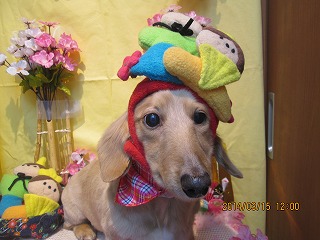 ファイル 7299-1.jpg