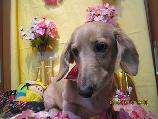 ファイル 7299-2.jpg