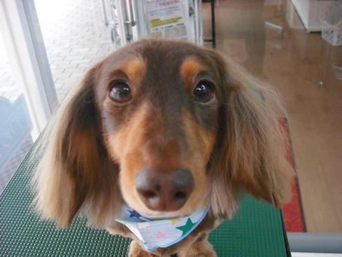 ファイル 73-1.jpg