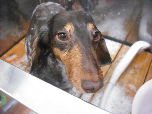 ファイル 73-2.jpg