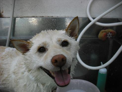 ファイル 730-2.jpg