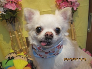 ファイル 7300-1.jpg