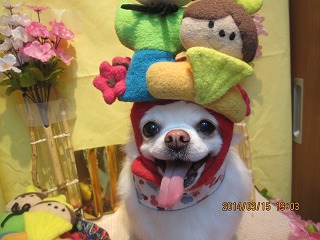 ファイル 7300-2.jpg