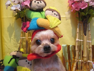 ファイル 7301-2.jpg