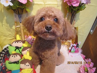 ファイル 7302-2.jpg