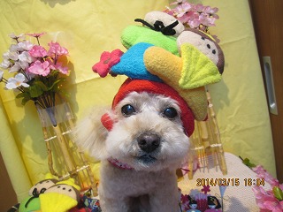 ファイル 7303-1.jpg