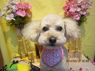 ファイル 7303-2.jpg