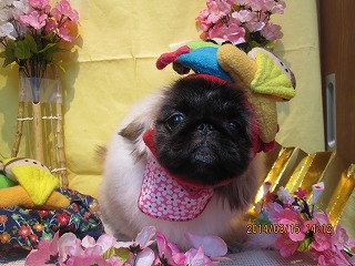 ファイル 7304-1.jpg