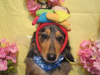 ファイル 7306-1.jpg