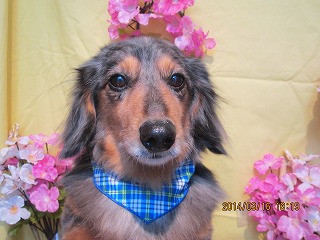 ファイル 7306-2.jpg