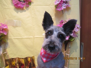 ファイル 7308-2.jpg