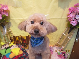 ファイル 7309-1.jpg