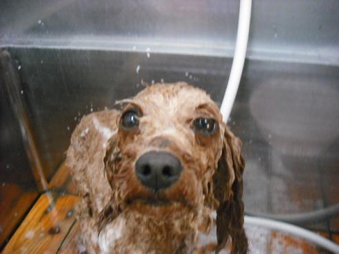 ファイル 731-2.jpg