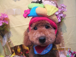 ファイル 7310-1.jpg