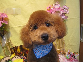 ファイル 7310-2.jpg