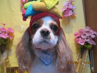 ファイル 7312-1.jpg