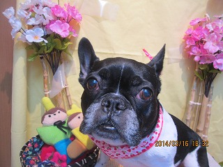 ファイル 7313-2.jpg