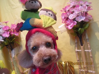 ファイル 7315-1.jpg