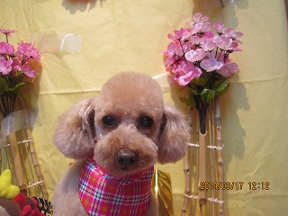 ファイル 7315-2.jpg