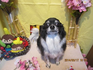 ファイル 7316-2.jpg