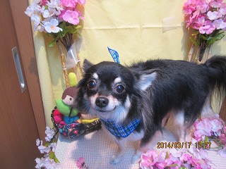 ファイル 7317-2.jpg