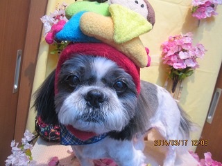 ファイル 7318-1.jpg