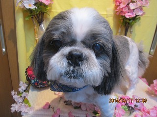 ファイル 7318-2.jpg