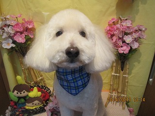 ファイル 7319-1.jpg