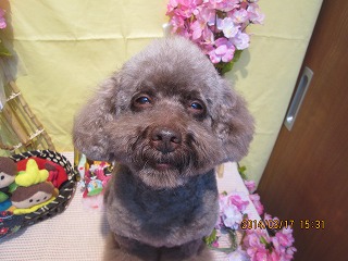 ファイル 7320-2.jpg