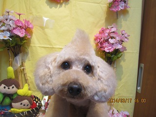 ファイル 7321-1.jpg