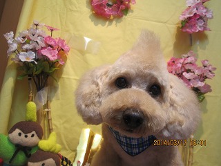 ファイル 7321-2.jpg