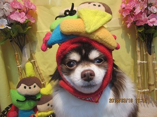 ファイル 7322-2.jpg