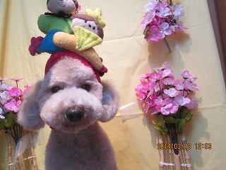 ファイル 7323-2.jpg