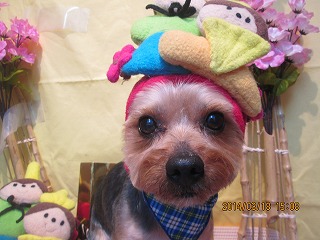 ファイル 7324-2.jpg